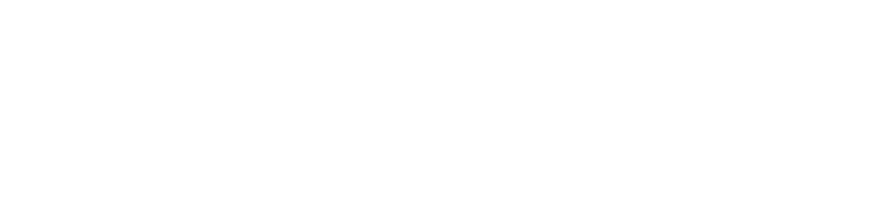 Digital Naspers Logo
