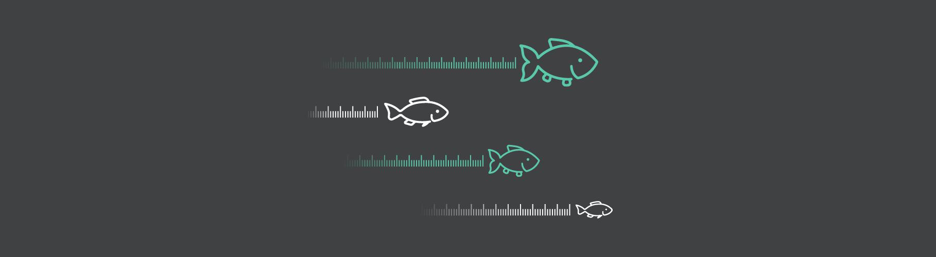 TopIC Banner - 6 tips for mastering measurement