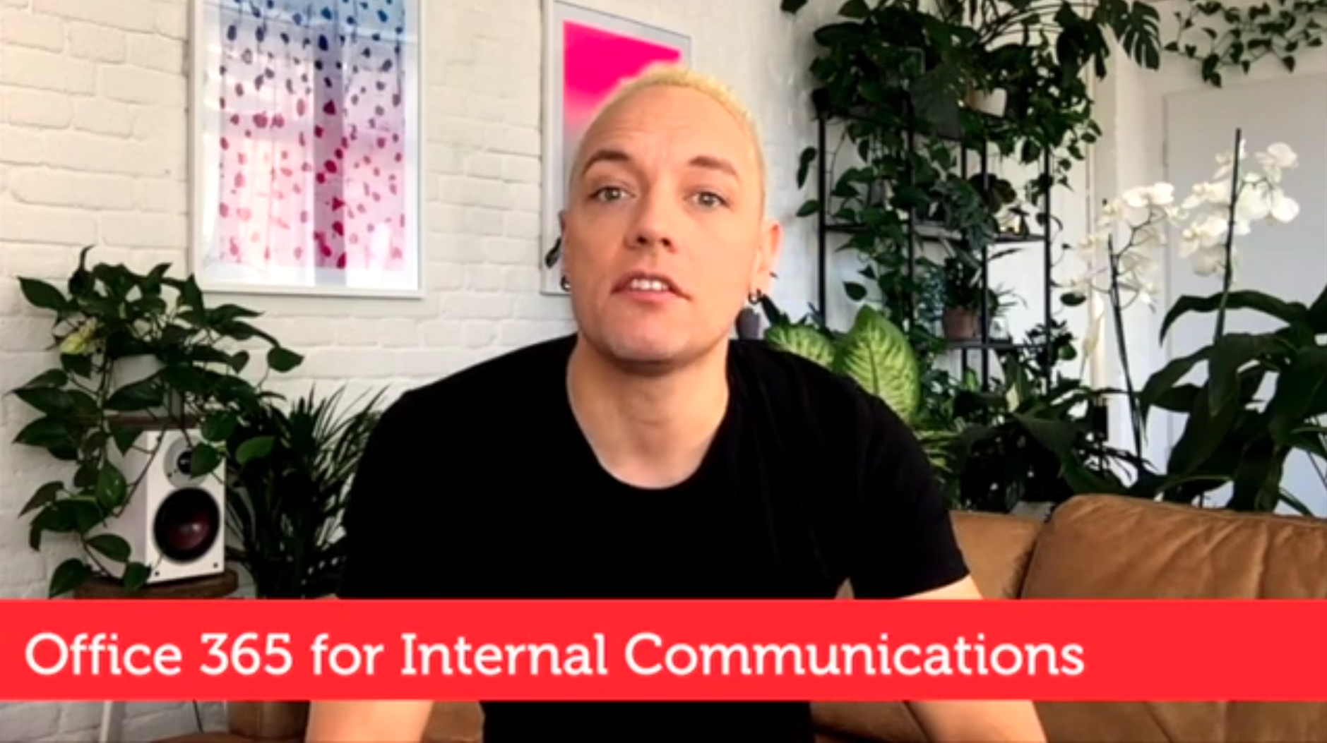 TopIC In Page - Optimising Office365 for internal comms