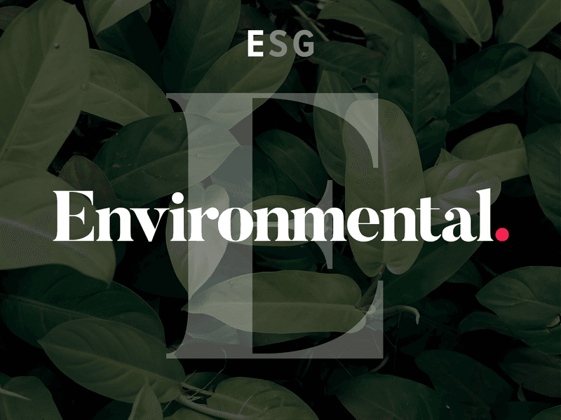 Top IC Thumbnail The E in ESG
